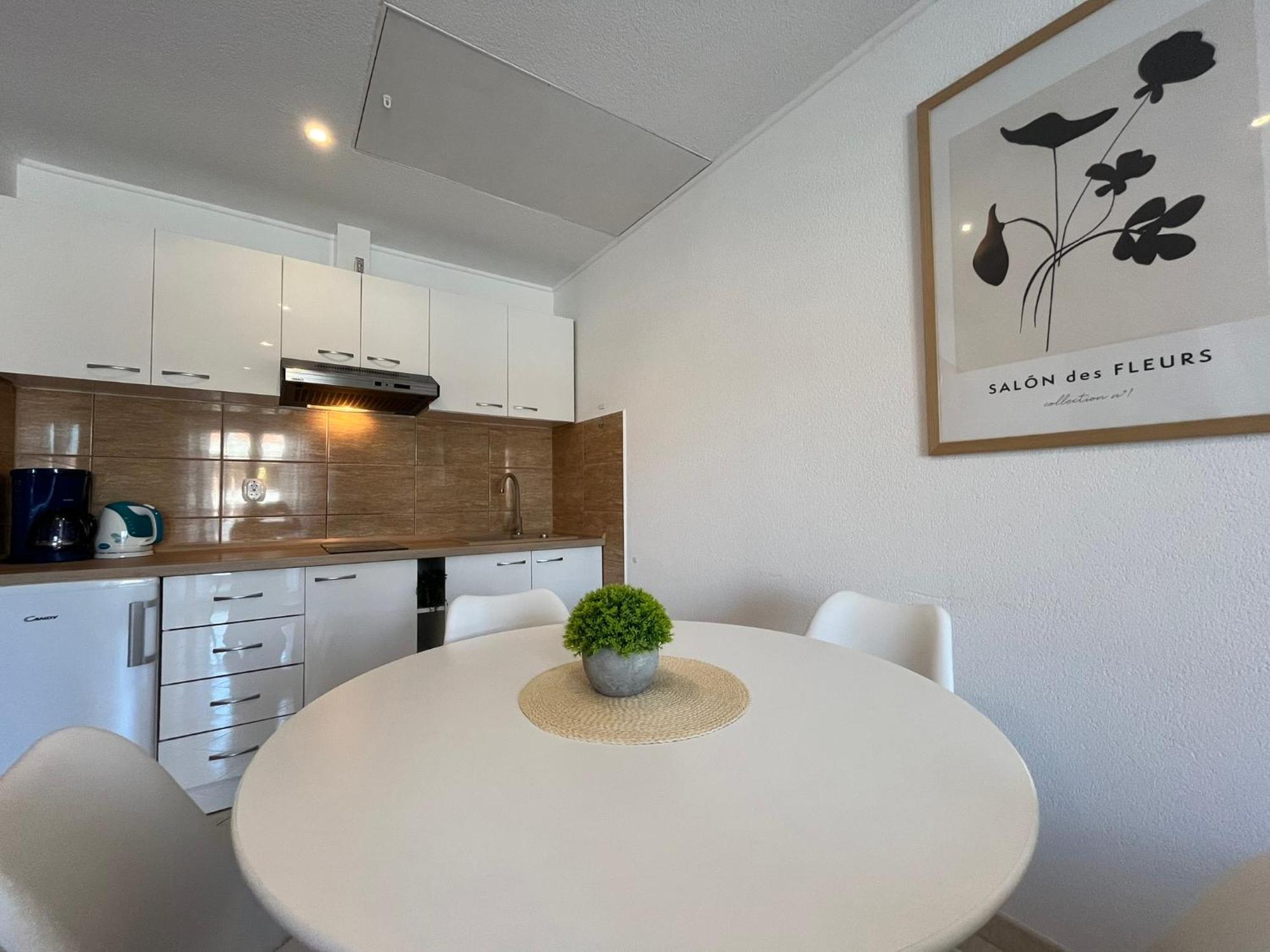 Apartments Contessa Novigrad  Bagian luar foto